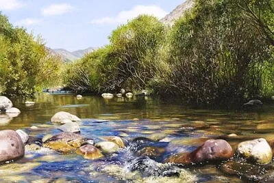 Piedras rio