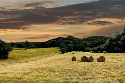פאזל של Campagne Basque près d 'Arcangues