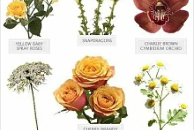 primavera
