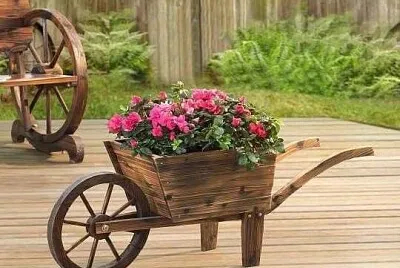 jardim