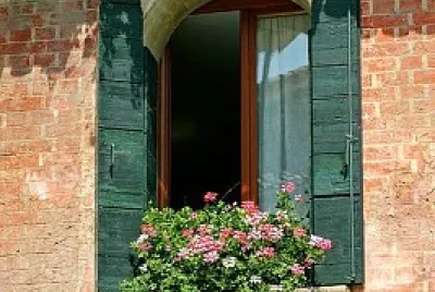 flores