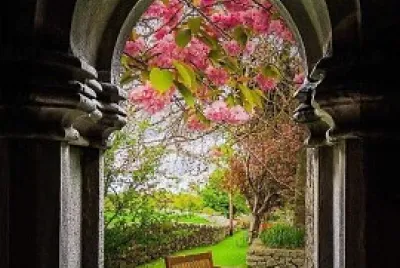 portal das almas