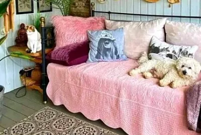 perro