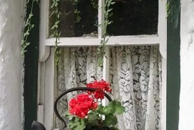 lindo