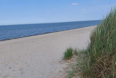 Schillig Hundestrand jigsaw puzzle