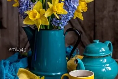 Imm