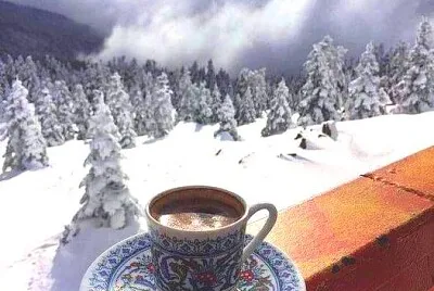 taza