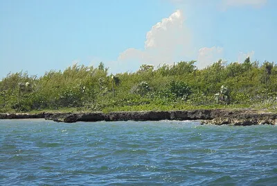 Cayman Island jigsaw puzzle