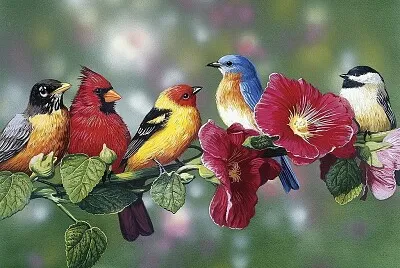 Cui cui jigsaw puzzle