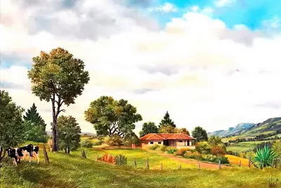 Campo