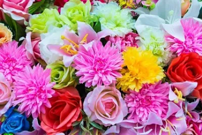 Plein de fleurs