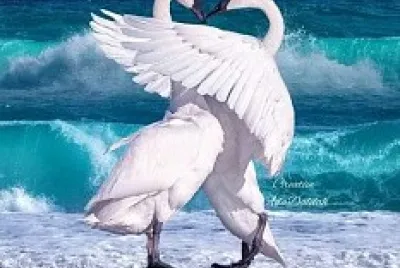 Abrazo