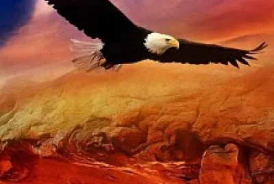 Aguila