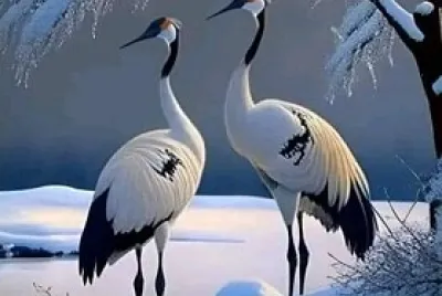 Grullas