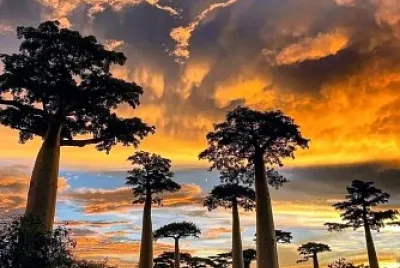 Madagascar