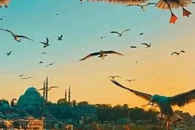 Estambul