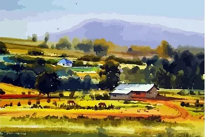 Campo