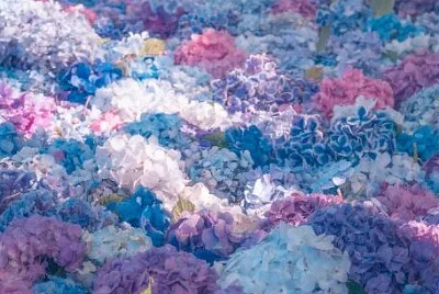 花 jigsaw puzzle
