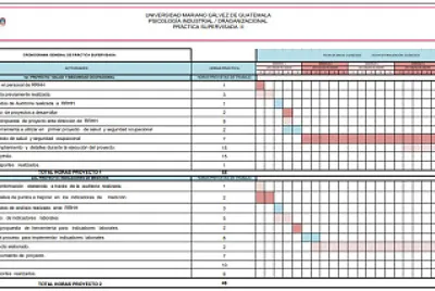 Cronograma de actividades