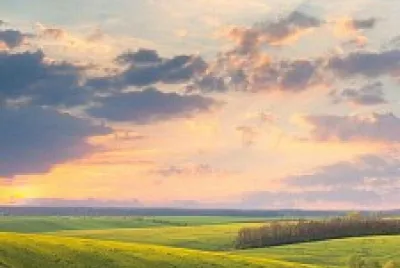 Paisaje jigsaw puzzle