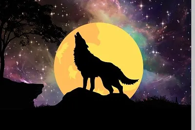 O LOBO