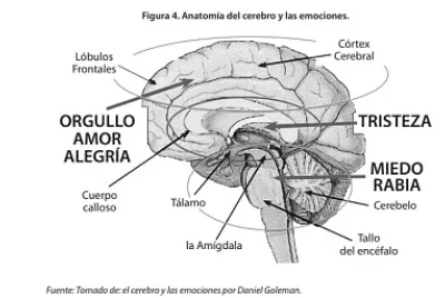 EDUCACIÓN EMOCIONAL:
