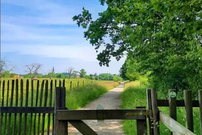 Nature. jigsaw puzzle