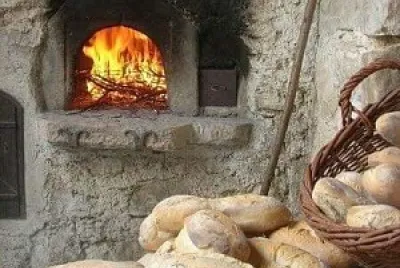 alimentos