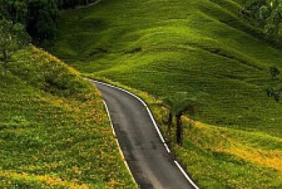 Camino
