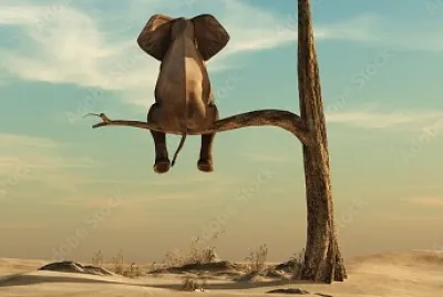 helefante jigsaw puzzle