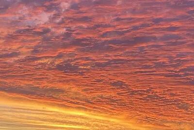 Marbella