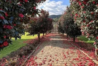 jardim jigsaw puzzle
