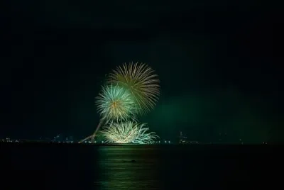 Fuegos artificiales cielo nocturno jigsaw puzzle