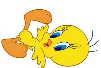 PIOLIN