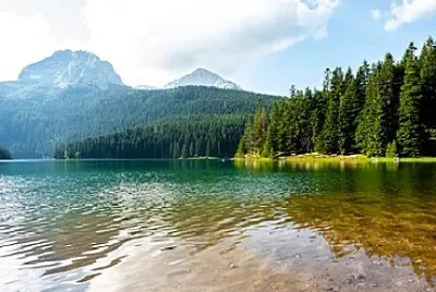 Nature