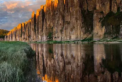 Reflejo