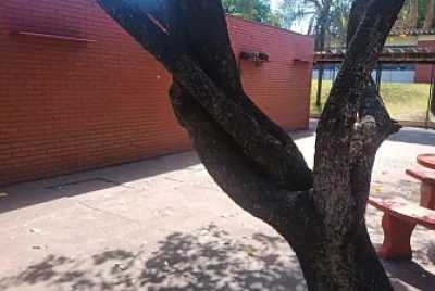 פאזל של pista 09