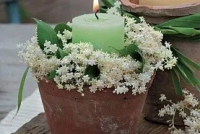 velas