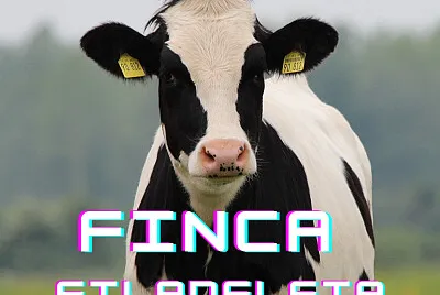 finca