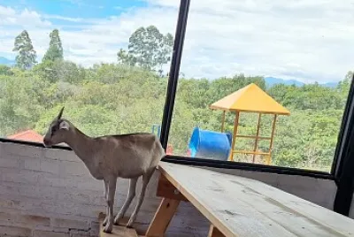 La linda traviesa traviesa