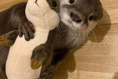 dinámica #6 jigsaw puzzle