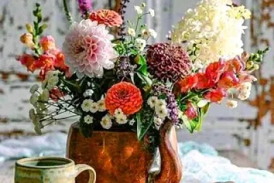 taza