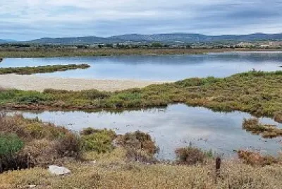 etangs et lagunes jigsaw puzzle