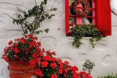 ventana