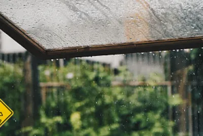 Chuva ácida jigsaw puzzle