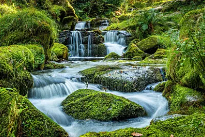 Nature