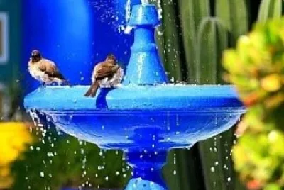 Animales