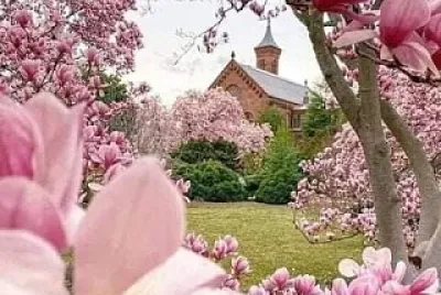 Flores
