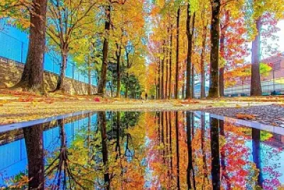 Espejo de otoño