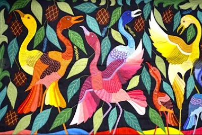 flamands multicolores